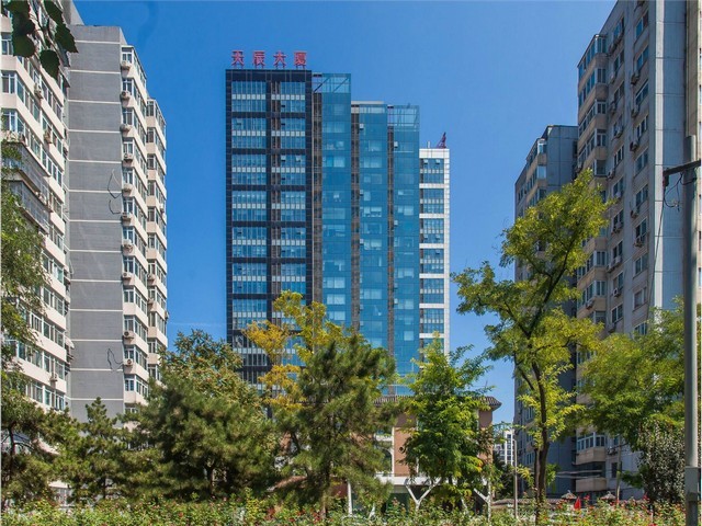 杭州履带式毛边机生产厂家